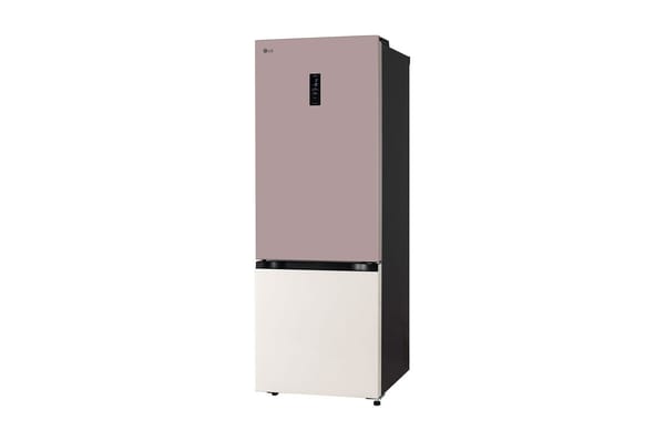 LG LG Double Door Refrigerator 340L