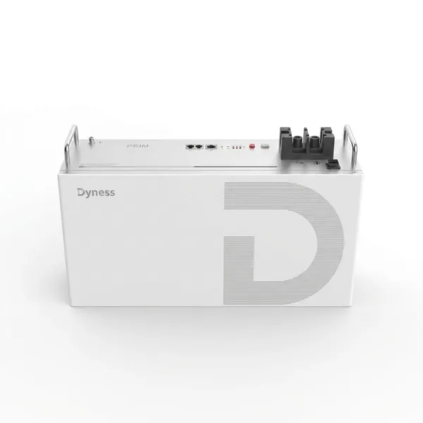 Dyness Battery 25.6V 2.5kWh