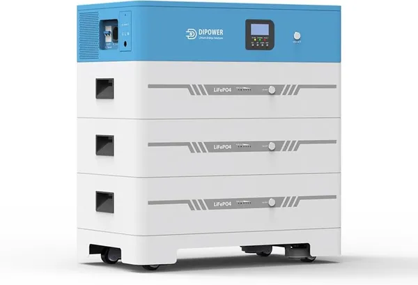 Dipower Lithium Ion Battery 51.2V 15kWh